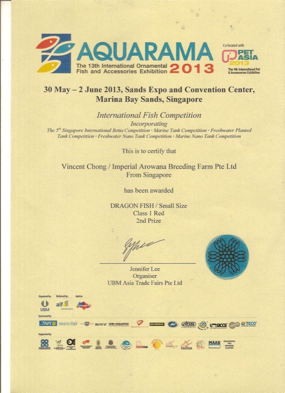 Aquarama 2013 certificate: second place, Red, Small.