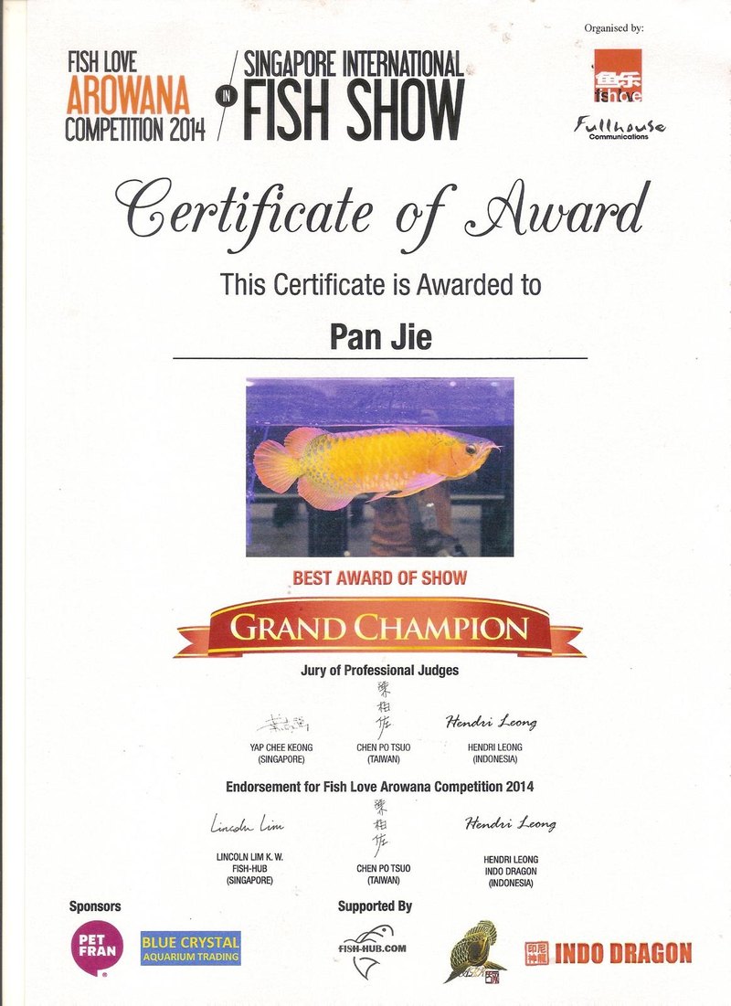 Singapore International Fish Show 2014 certificate: Grand Champion, Best Award of Show.