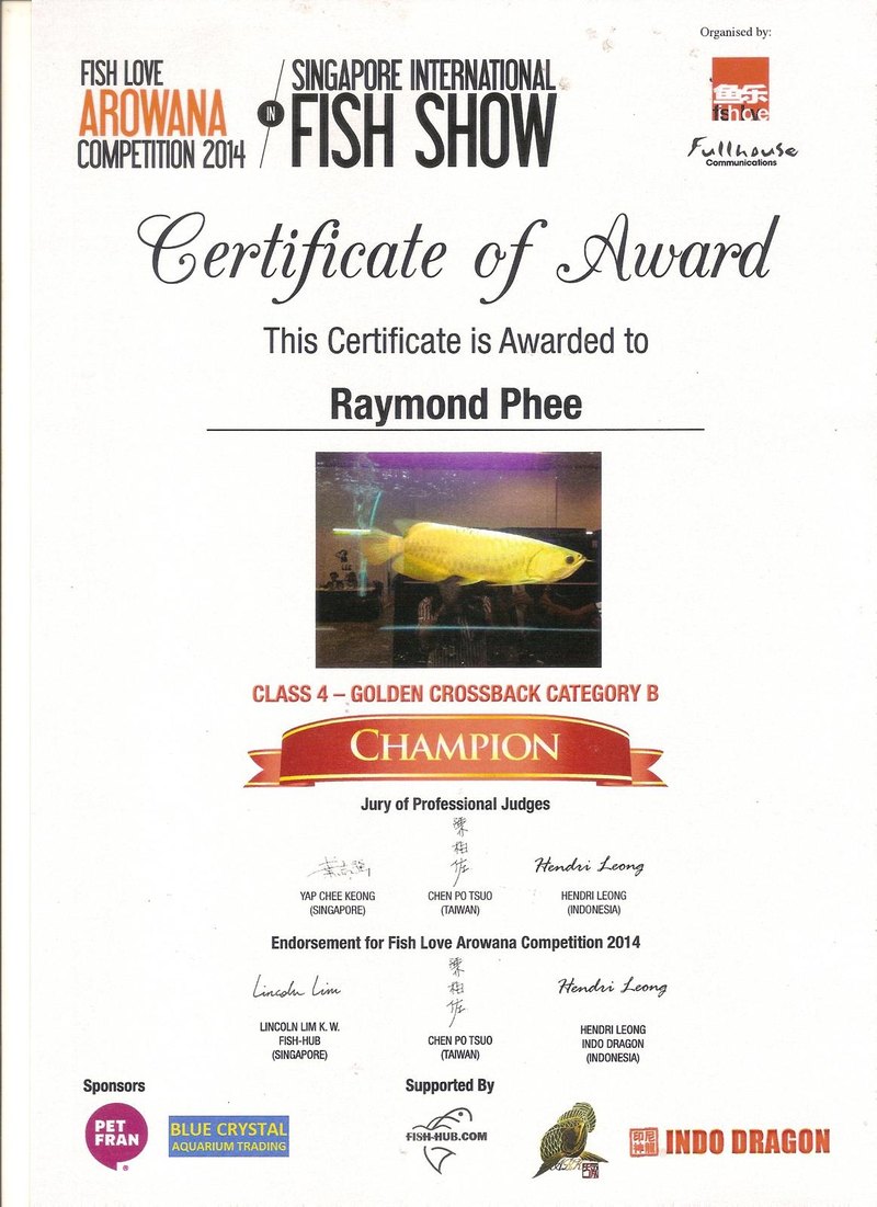 Singapore International Fish Show 2014 certificate: Champion, Class 4 Golden Crossback, Category B.