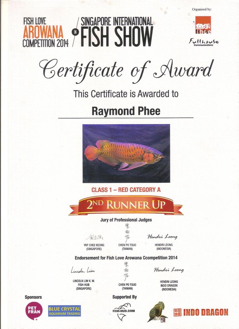 Singapore International Fish Show 2014 certificate: second runner-up, Class 1 Red, Category A.