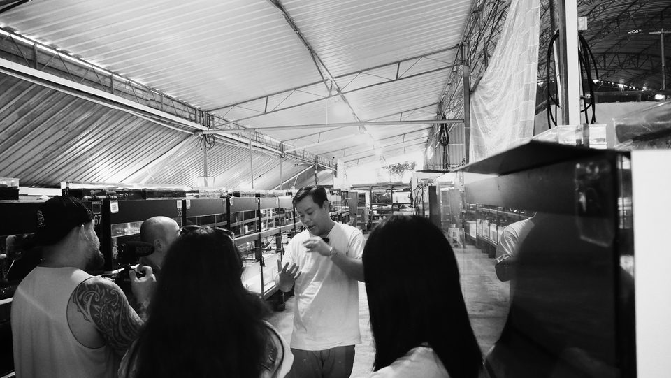 Talking visitors through the fry house.