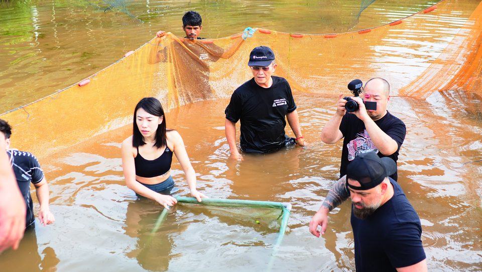 Harvesting with nets at the pond.
