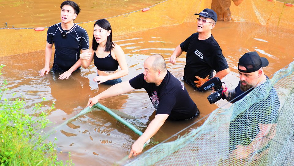 Harvesting with nets at the pond.