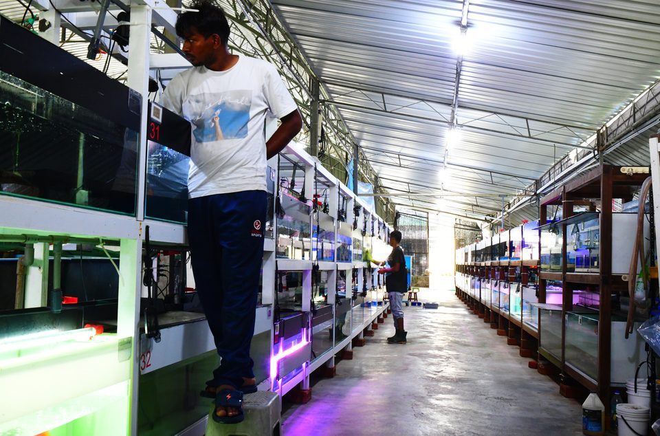 Walking the LED tank rows.